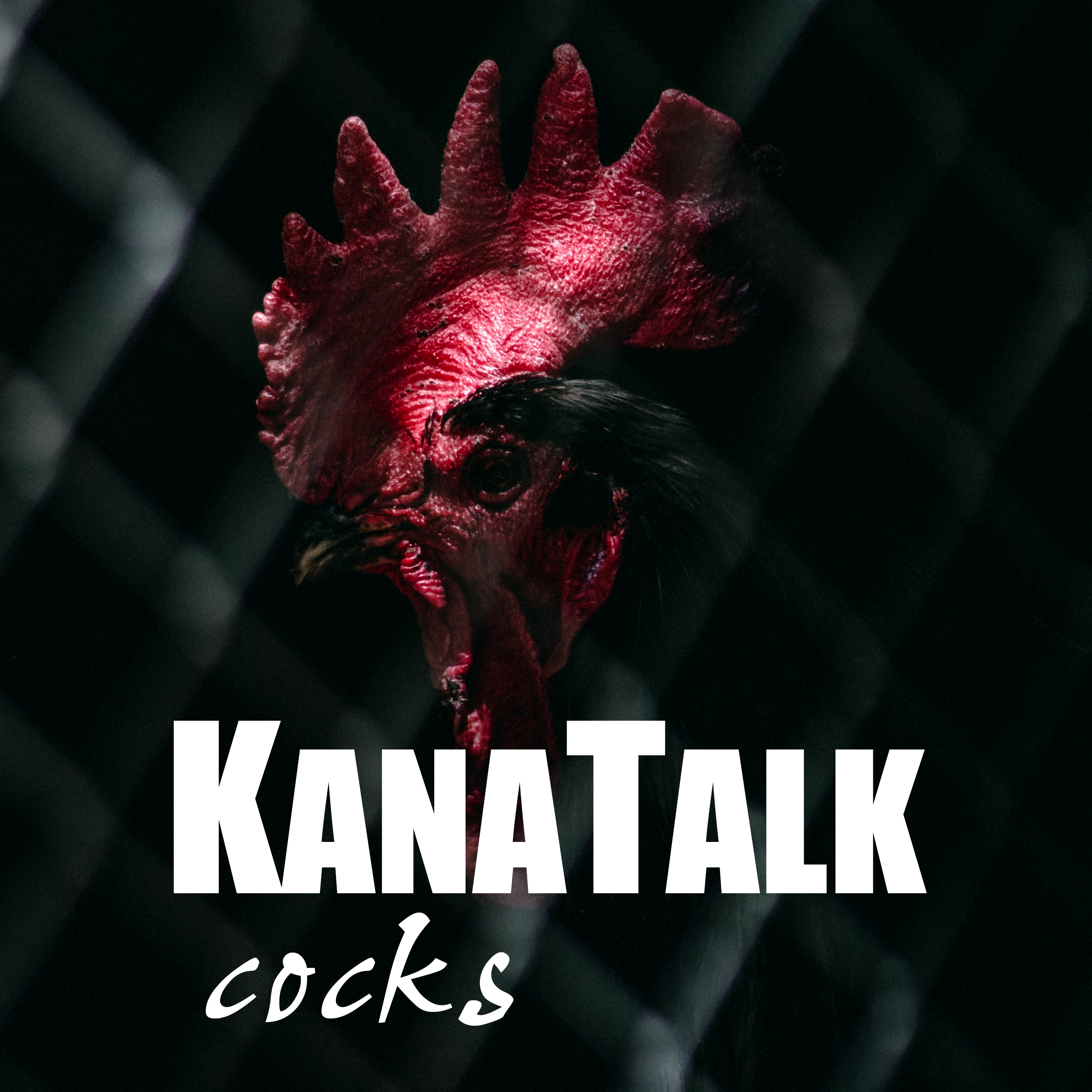 KanaTalk Cocks