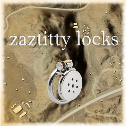 Zaztitty locks